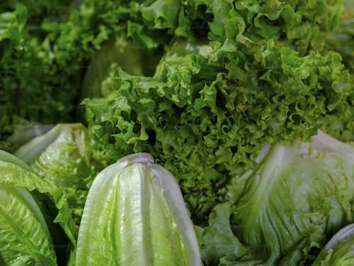 Leafy green for optimal eye health