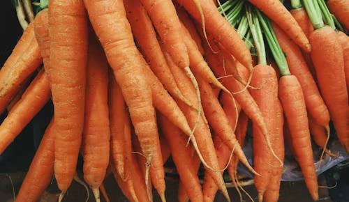 carrots for optimal eye health